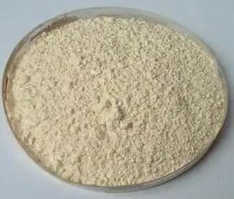 黃豆黃素