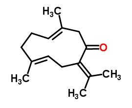 吉馬酮