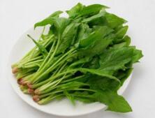 菠菜