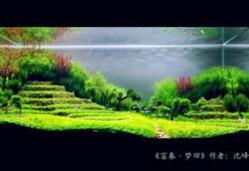 造景