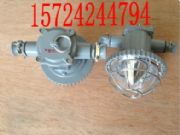 DGS18/127L18WA18WL