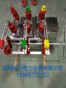 ZW8-12G/630քӎ110늷