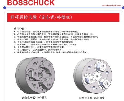 bosschuckܗUPַ֧ǘ(bio)֧־SޱB(yng)