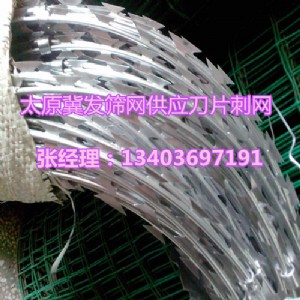 ̫ԭP䓵Ƭ̾W(wng)ɽKo(h)W(wng)xǱO(jin)zW(wng)