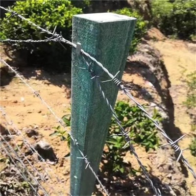河北正反擰刺繩廠家供應(yīng)棗莊不銹鋼刺鐵絲東營不銹鋼有刺鐵絲網(wǎng)