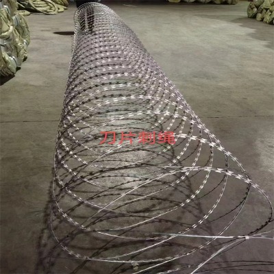 河北邊境防護(hù)網(wǎng)廠家供應(yīng)舟山鍍鋅滾筒嘉興碼頭港口防盜賊刺網(wǎng)