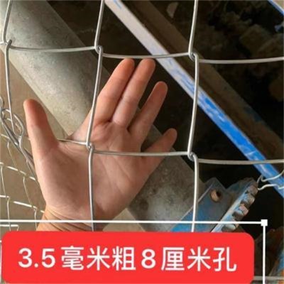 河北鍍鋅菱形鐵絲網(wǎng)廠黔東南菱形包塑勾花網(wǎng)黔西南戶外藍球場護欄