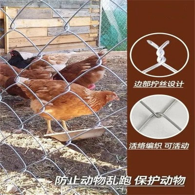 河北鍍鋅菱形編織網(wǎng)廠家山西操場鐵絲圍欄網(wǎng)太原綠色勾花護(hù)欄網(wǎng)