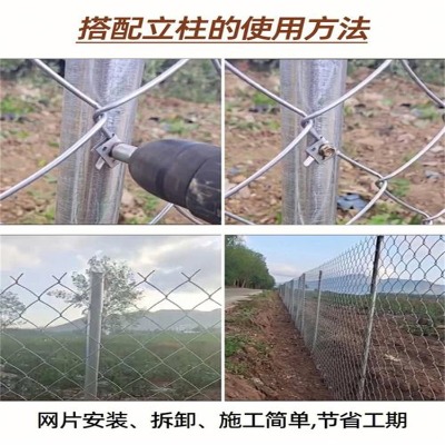 ӱB(yng)ֳFzW(wng)SꖌW(xu)Уوo(h)W(wng)ꖌW(xu)Уw