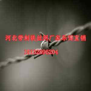 長春鍍鋅刺繩吉林圈山帶刺鐵絲網(wǎng)廠家樂博