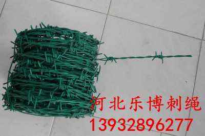 ƽKSҬF(xin)؛FzIW(wng)T^ϷIFz̾W(wng)