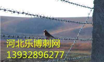 ƽKSҬF(xin)؛ӱ\дFzW(wng)FzW(wng)