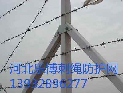 ղP䓽zW(wng)~겻P䓴Fz