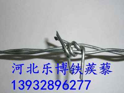 㽭С^(q)^IW(wng)A@־Go(h)W(wng)