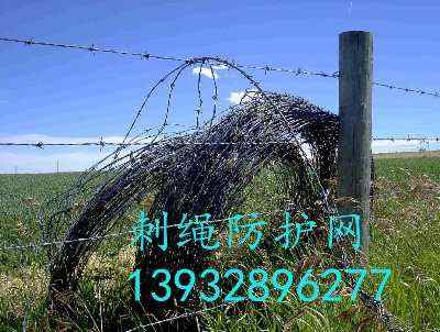 ½Ȧ؎FzW(wng)ȦF޼