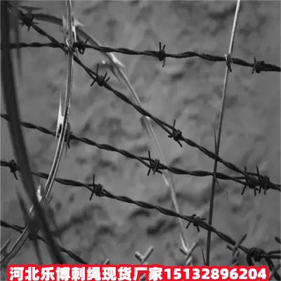 ˮ\KF(xin)؛SҼֲŷIFz̾W(wng)ͨFzW(wng)