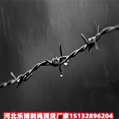 ƽ\KS㽭Ȧɽ䓽zW(wng)ȦɽFz