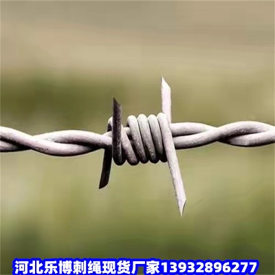 ɽxo(h)ھW(wng)\(yn)䓽zKx304K