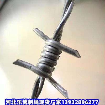 |·̾W(wng)FX·B(yng)o(h)FzW(wng)|·B(yng)o(h)䓽zW(wng)
