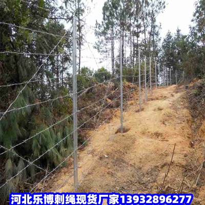 黑龍江高速公路刺鐵絲鐵力高速公路帶刺鐵絲網(wǎng)北安道路養(yǎng)護(hù)防護(hù)網(wǎng)