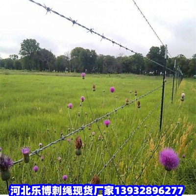 ٹ·FzW(wng)Mݵ·B(yng)o(h)o(h)W(wng)(zhn)GɫFzW(wng)