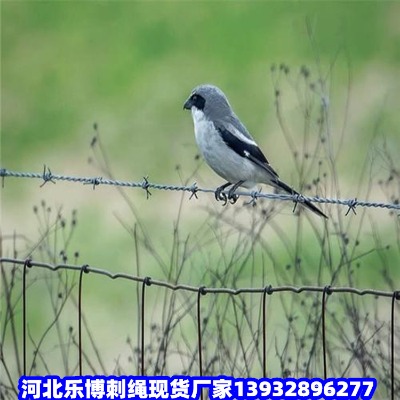 ٹ·F޼dGɫFzW(wng)䓽zW(wng)