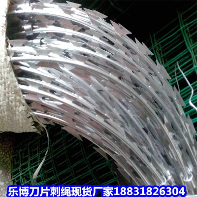 \KS _(d)P䓵Ƭ̾W(wng) ؖ|P䓵ƬK