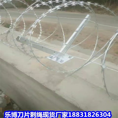 \KS ۴KoھW(wng) |CƬ̾W(wng)