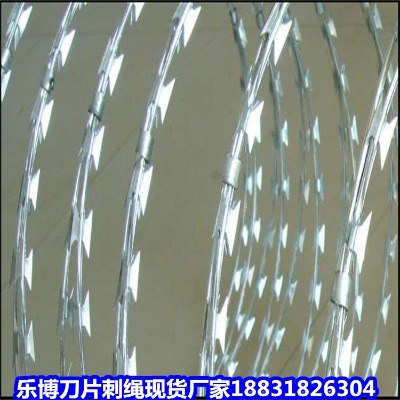 \KS SIFzW(wng) ̌SW(wng)