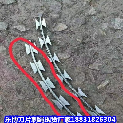 㽭\KS xL\FzW(wng) |ꖝL\ƬK