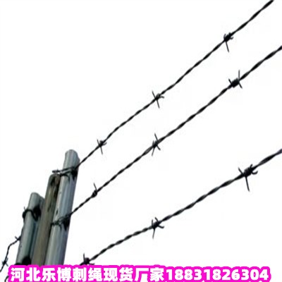 \KS ϑcݰFzW(wng) 䓽zW(wng)