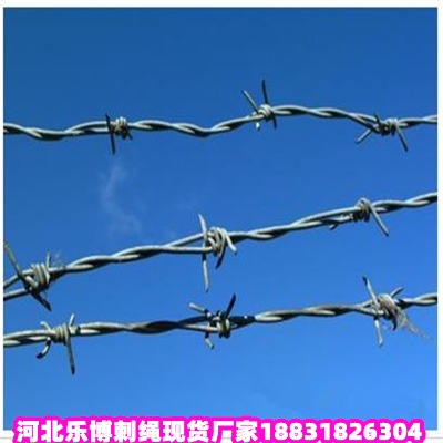 Ĵ\KS(chng) ʲ޼ dдFzW(wng)