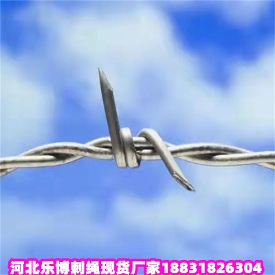 \KS |·̾W(wng) P䓴K
