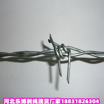 \KS LɳpvcFzW(wng) ވشK