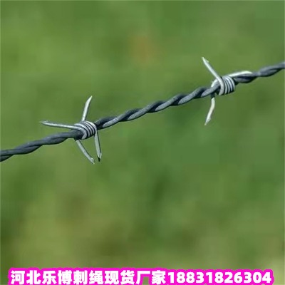 \KS ѻԭK l(xing)θQzK