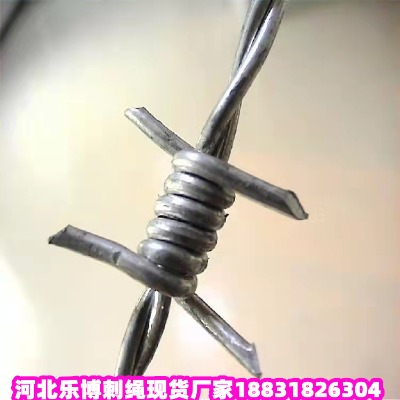 \KS 齭̾W(wng)K ׇ̾W(wng)