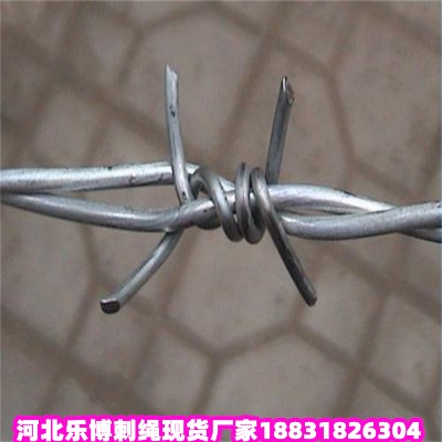 \KS ȦF޼ Ȏ·B(yng)oFzW(wng)