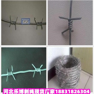 江蘇鍍鋅刺繩廠家 姜堰12號(hào)圍墻防盜網(wǎng) 泰興14號(hào)鍍鋅刺線