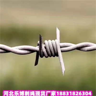 ؑc\KS 9IW(wng) ϴ10䓽zK