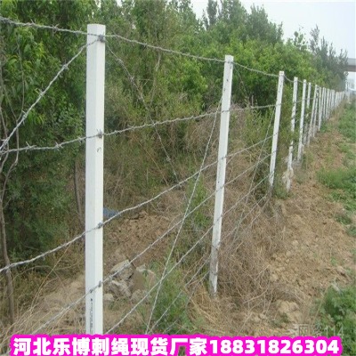 _(ti)\KS ¡6С^(q)^IW(wng)