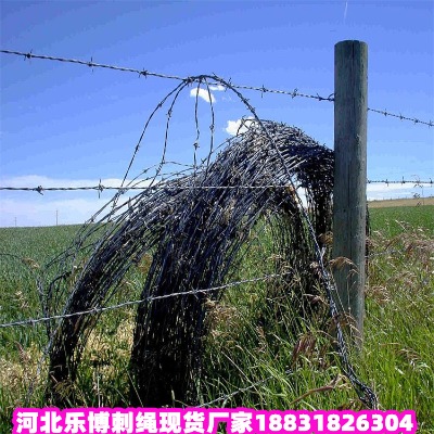 \KS IW(wng)o ɽFzW(wng)