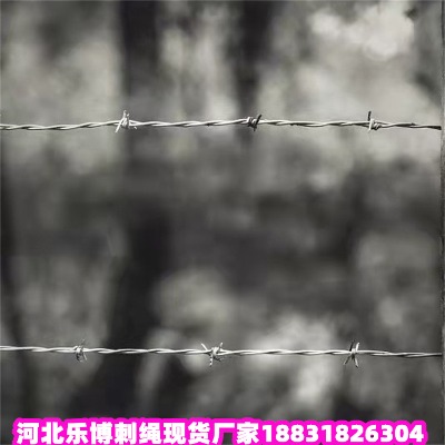 \KS 9\FzW(wng) 10䓽zK