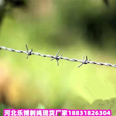 \KS 12̖(ho)P䓎FzW(wng)