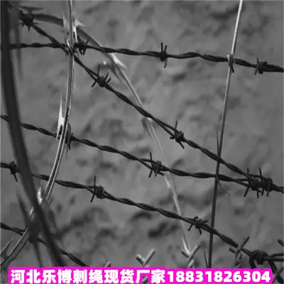 \KS 5\䓽zW(wng)