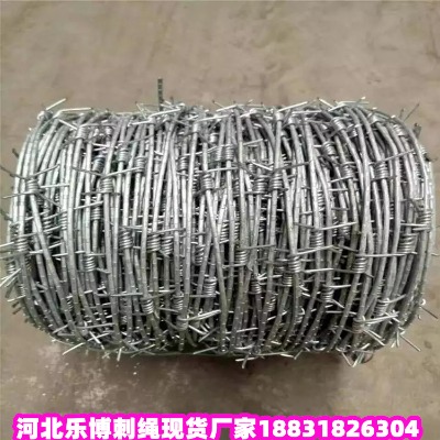 㽭\KS _(ti)12̖(ho)Ȧ䓽zW(wng) d14̖(ho)ȦشFz