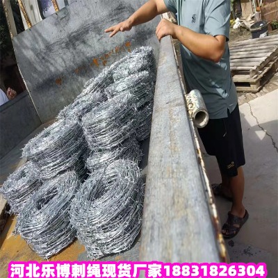 浙江鍍鋅刺繩廠家 金華2毫米圈地鐵蒺藜