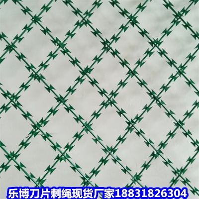 V|\KS 2׷̎ 2.2׷̾W(wng)