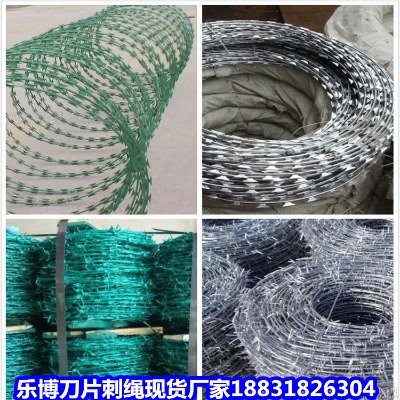 \KS 10ﲻP䓵Ƭ̽zL\