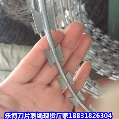 \KS 12̖WУС^(q)IW(wng)