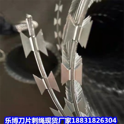 _\KS T12̖ox̾W(wng)